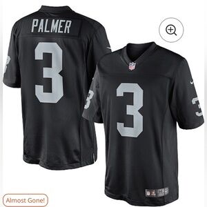 Carson Palmer Las Vegas Raiders Nike Team Color Limited Jersey - Black XXL